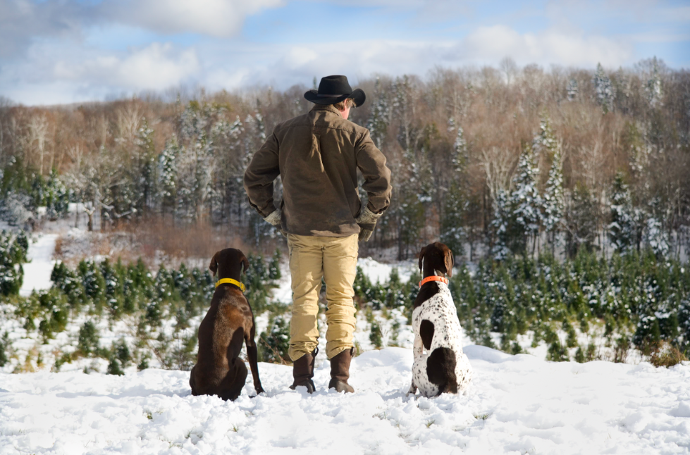 Michael Loughran overlooking his Christmas tree farm