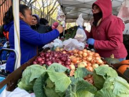AHA NYC and Rose Caiola Unite with GrowNYC to Open Winter Farm Stands