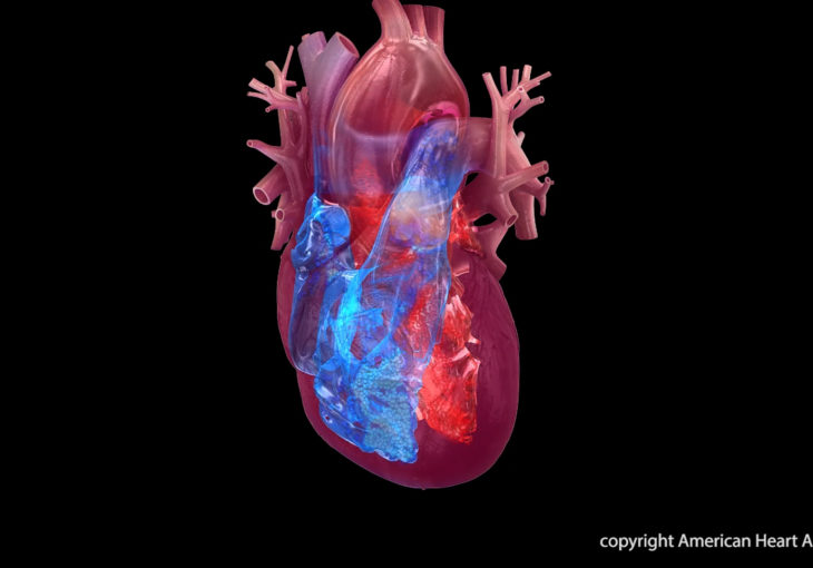 AHA & Temple University Hospital Share Important Heart Health Information