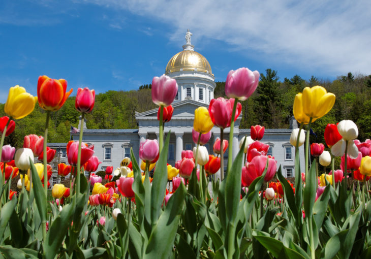 Thank You for Helping us Advance Legislation for a Healthier Vermont!
